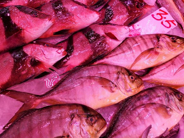 Bougez vers une vie saine avec forever c9 en 9 jours !